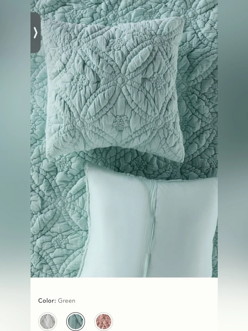 New Anthropologie everly cotton floral euro sham textured mint green blue cover